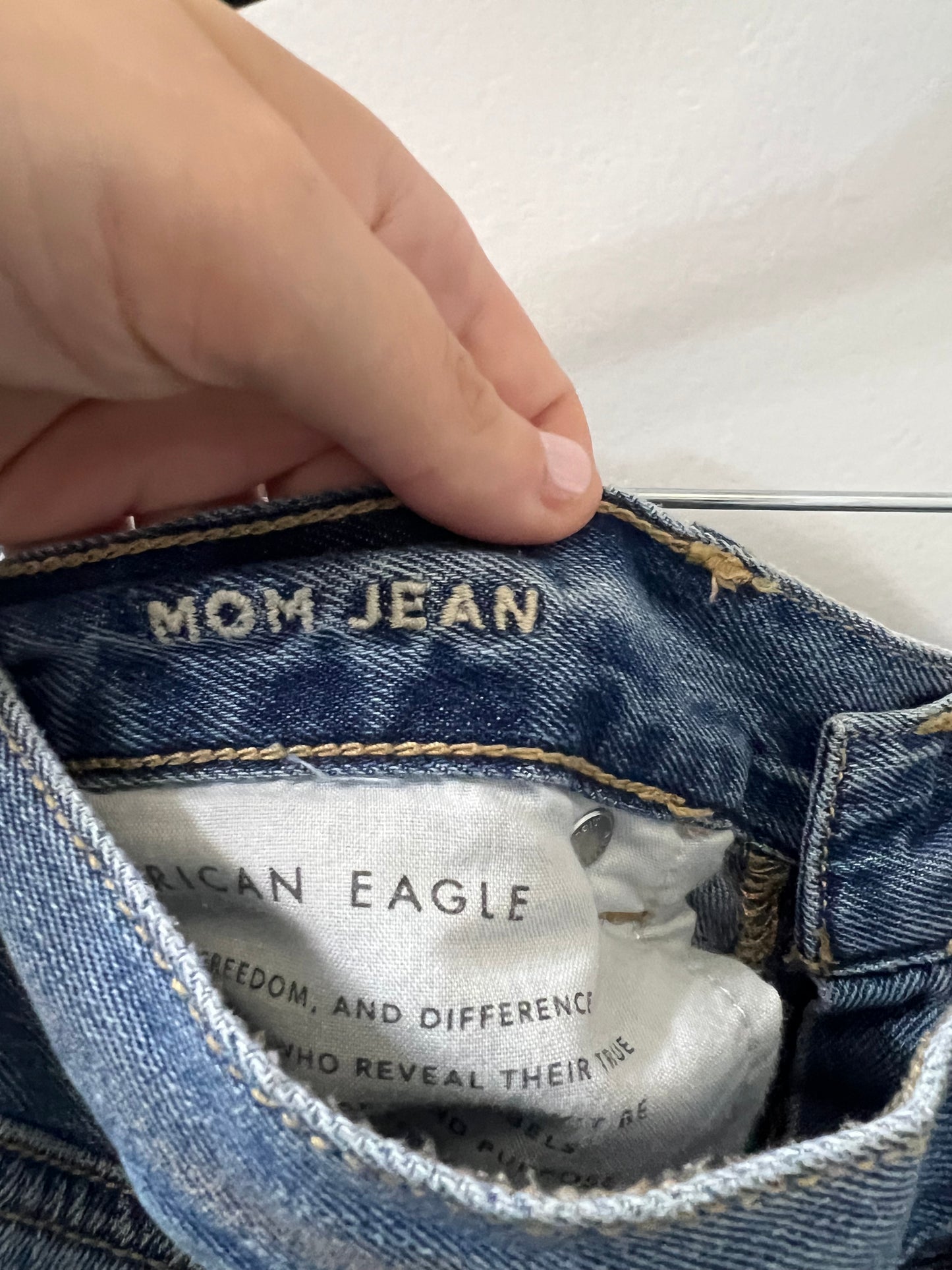 American Eagle Mom Jeans | Size 24