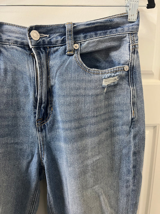 American Eagle Mom Jeans | Size 24